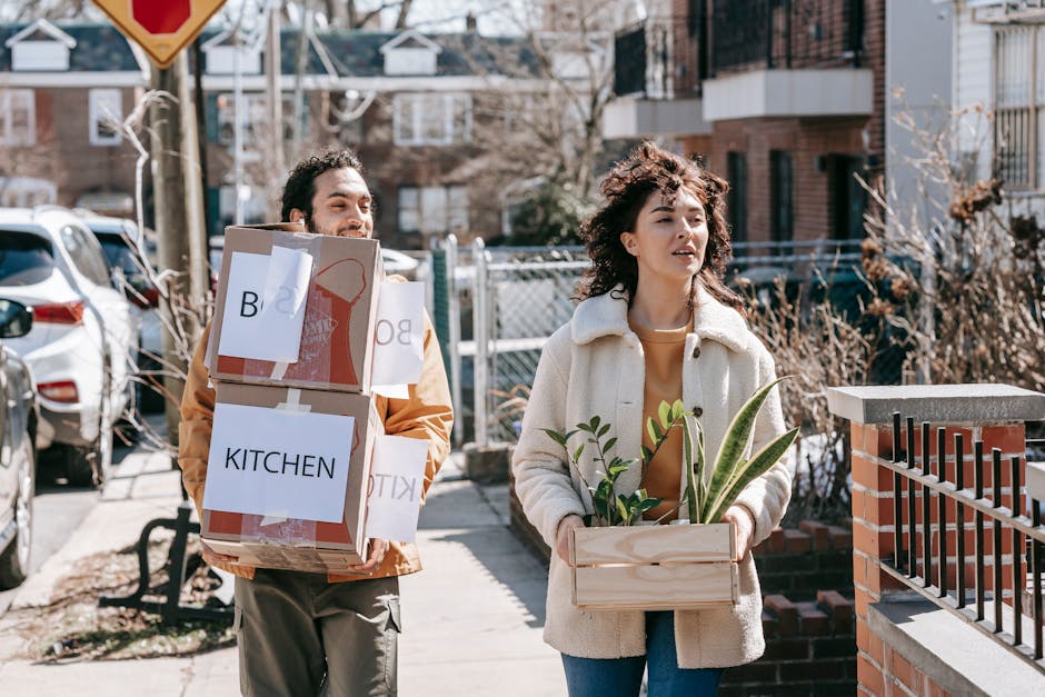A man and woman are walking along a residential street during daytime, involved in a home relocation process. The man, with dark, curly hair and a beard, is carrying a large cardboard box labeled 'KITCHEN' with white paper signs attached, and appears to be excited or smiling. The woman, with voluminous curly hair, is holding a wooden box containing several potted plants, including a snake plant and another leafy houseplant, while looking ahead. They are dressed in casual warm clothing suitable for outdoor work. In the background, there are parked cars, a chain-link fence, leafless bushes, and multi-storey residential buildings with balconies, indicating a suburban neighbourhood. The lighting suggests clear weather with bright sunlight illuminating the scene. This image captures a typical stage in house removals and packing activity, as part of a detailed street-by-street moving checklist for Brondesbury, provided by Man with Van Brondesbury, multi-object packing, and furniture transport service specialists.